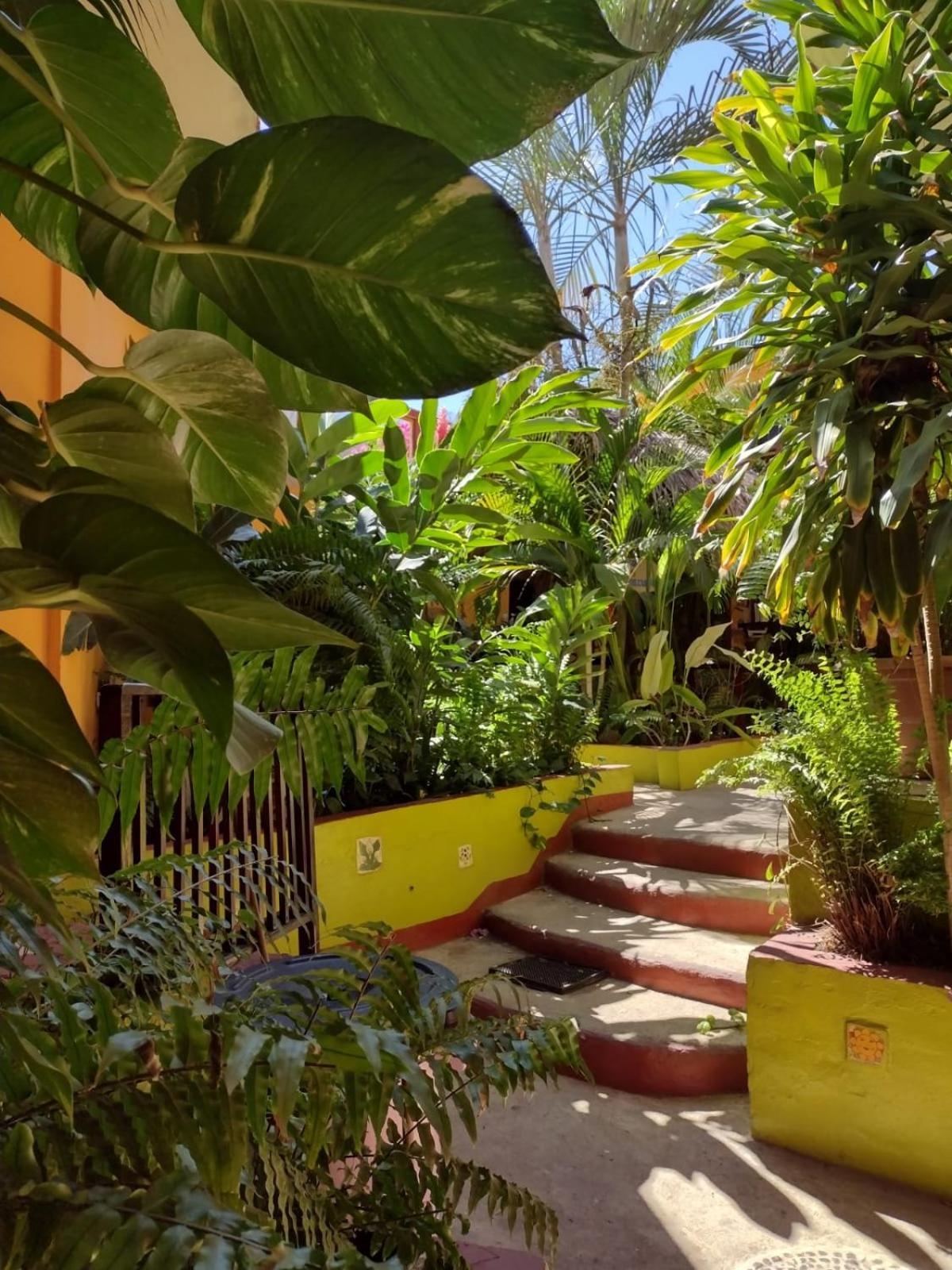 Hotel La Cabana Puerto Ángel 외부 사진